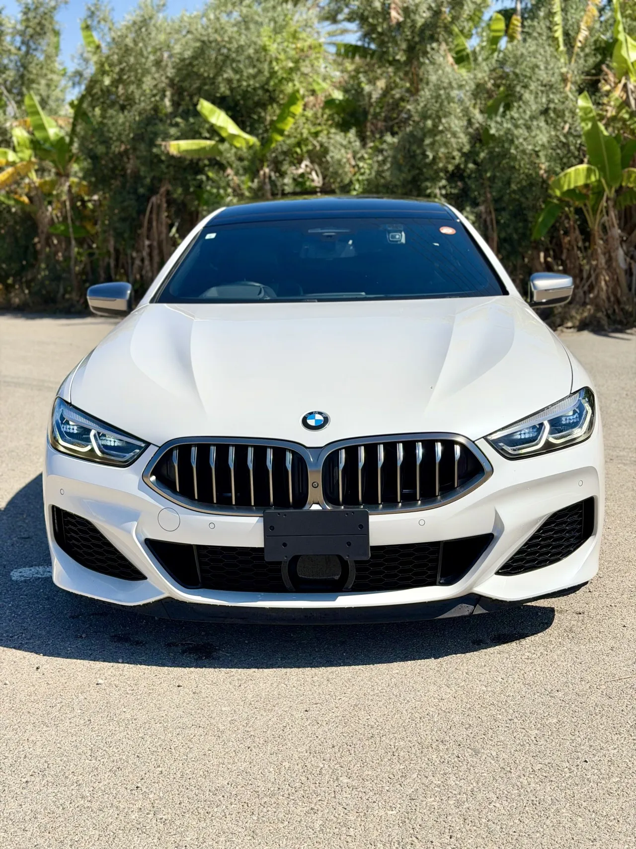2022 BMW 8 Serisi 850i xDrive M Sport Kıbrıs | KKTC İkinci El Satılık Araba - Thumbnail 6