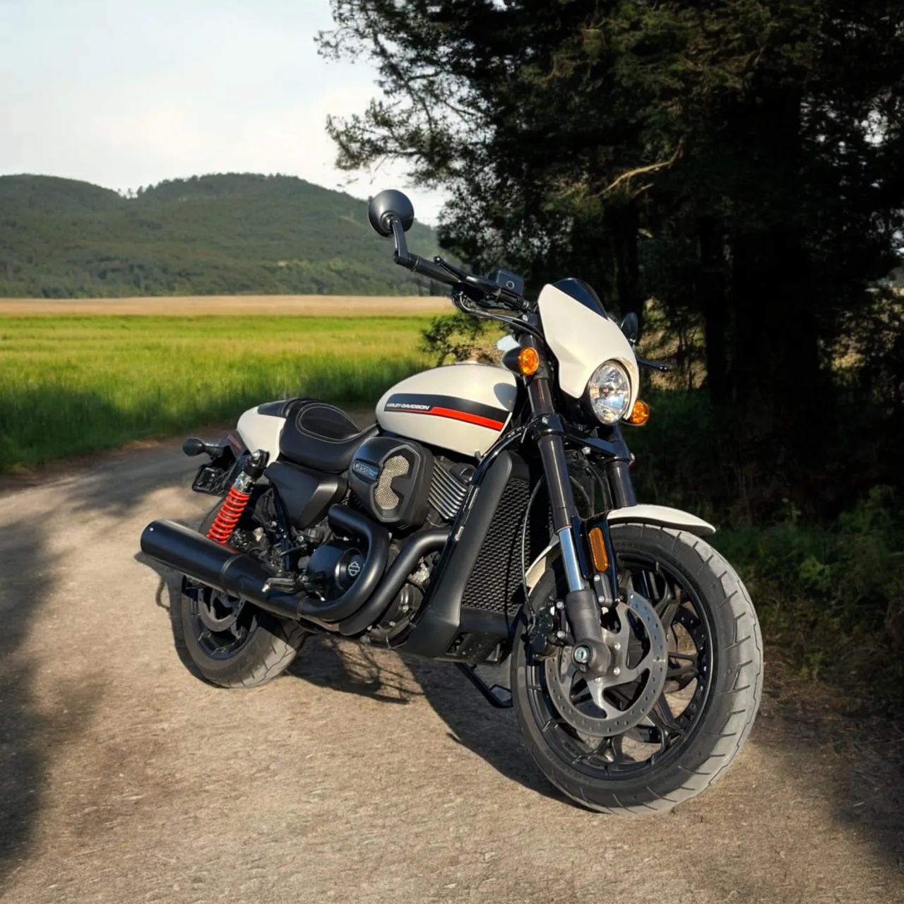 2020 Harley Davidson Street 750  Kıbrıs | KKTC İkinci El Satılık Araba - Thumbnail 2