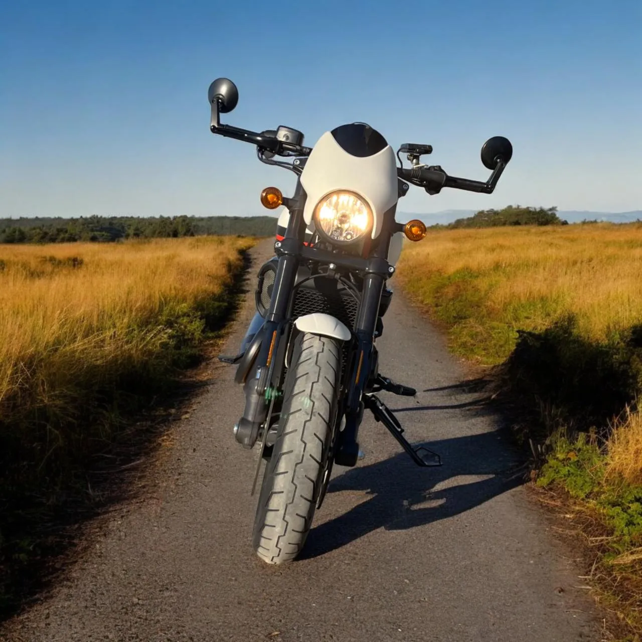 2020 Harley Davidson Street 750  Kıbrıs | KKTC İkinci El Satılık Araba - Thumbnail 3