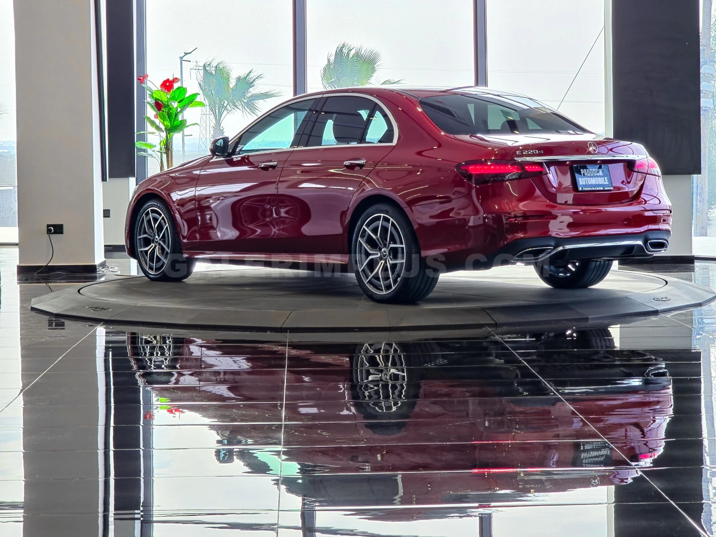 2022 Mercedes-Benz E Serisi E 220d Kıbrıs | KKTC İkinci El Satılık Araba - Thumbnail 5