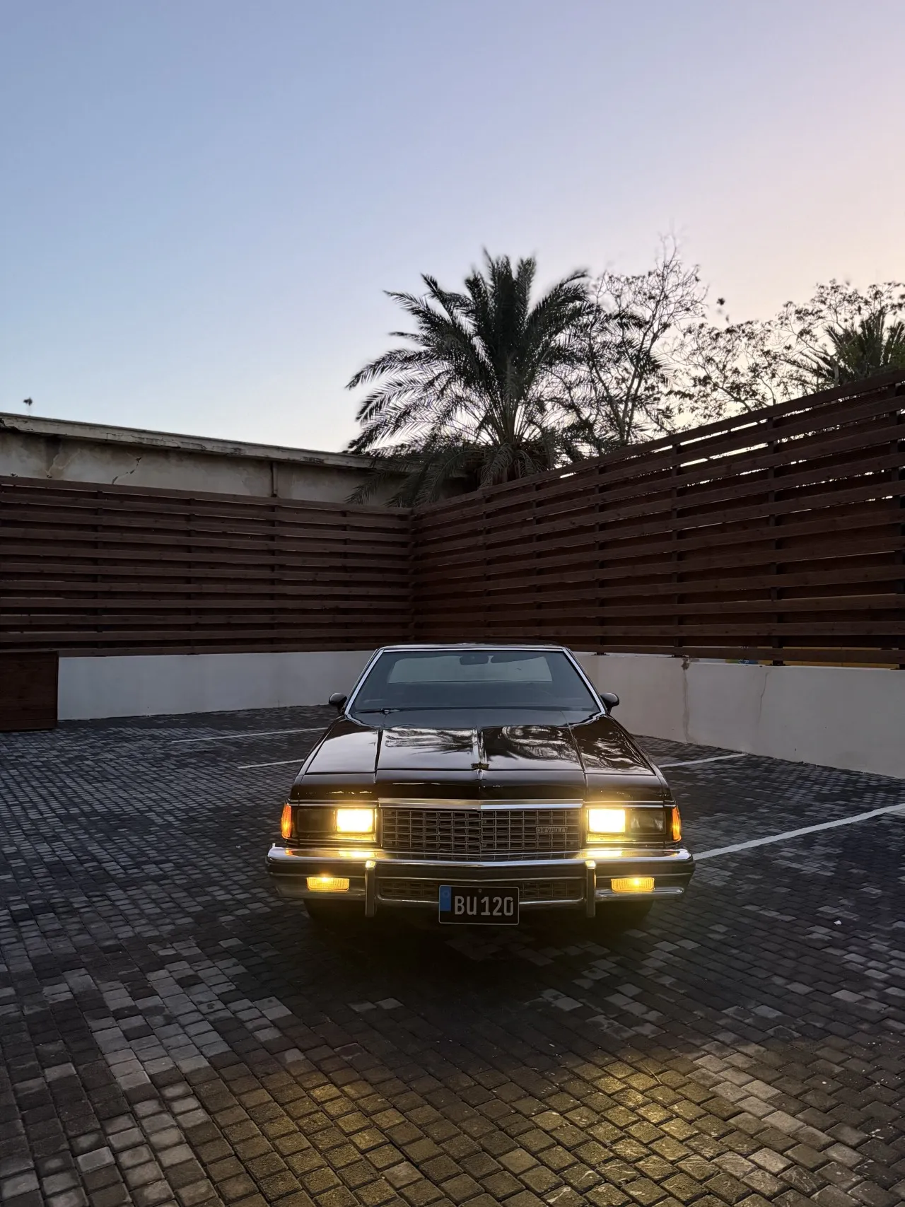 1974 Chevrolet Caprice 5.0 LS Kıbrıs | KKTC İkinci El Satılık Araba - Thumbnail 2
