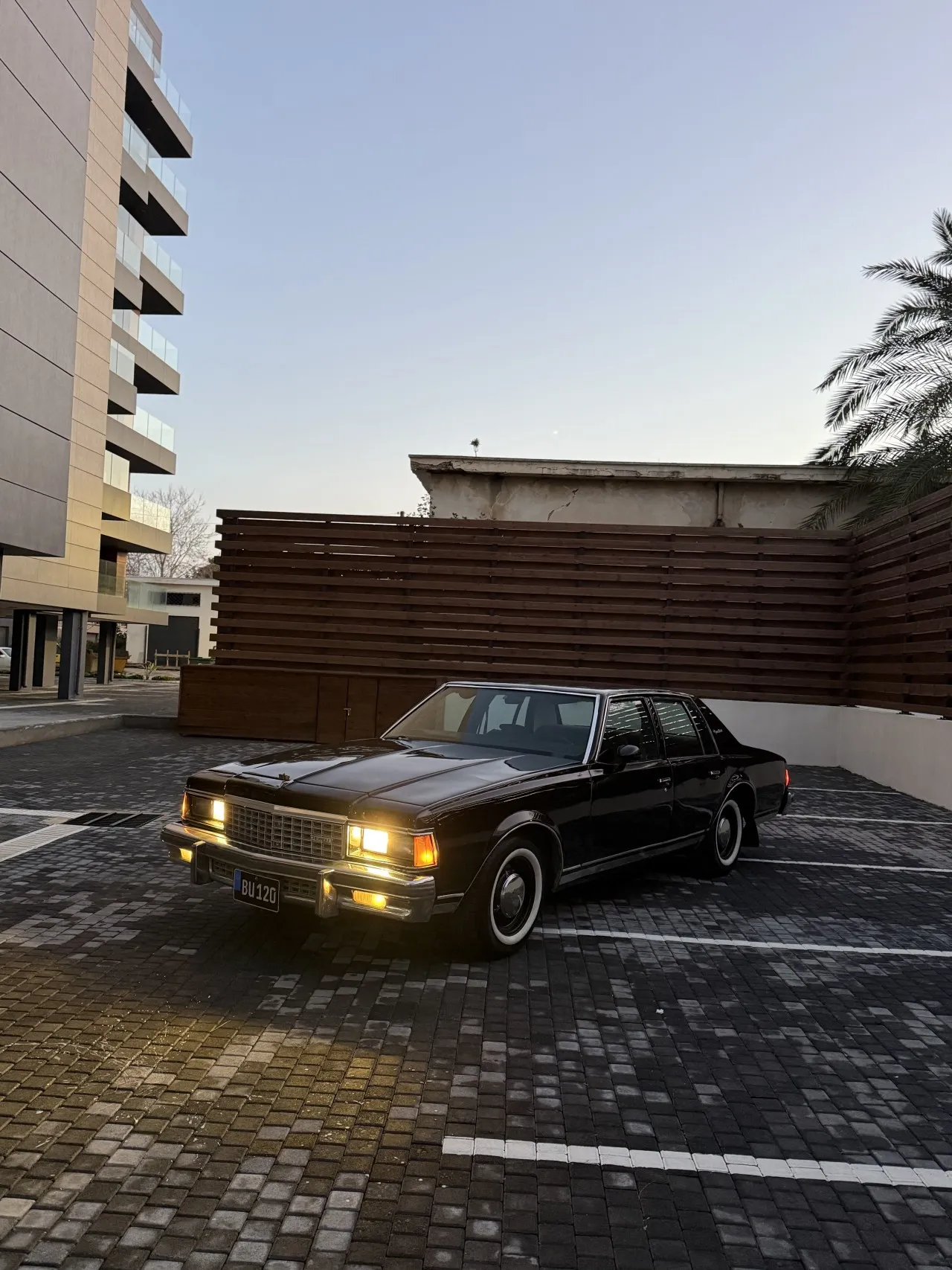 1974 Chevrolet Caprice 5.0 LS Kıbrıs | KKTC İkinci El Satılık Araba - Thumbnail 3